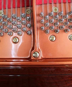 Wendl & Lung Mod.151 Professional III