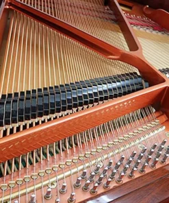 Wendl & Lung Mod.151 Professional III