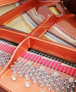 Wendl & Lung Mod.151 Professional III