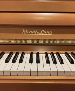 Wendl & Lung Mod.122 (Cherry Satin)