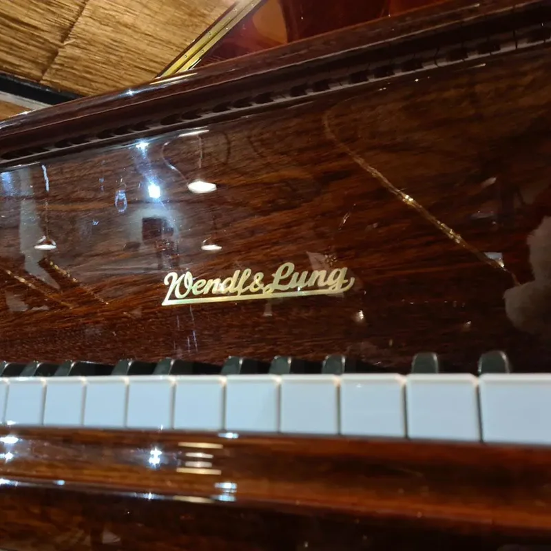 Wendl & Lung Mod.151 Mahogany - Silent – Toàn cảnh thiết kế tại Nah Music