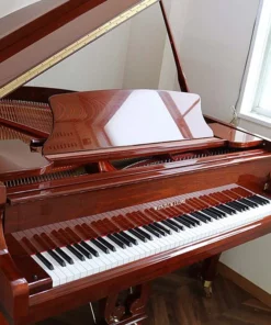 Wendl & Lung Mod.151 Mahogany - Silent