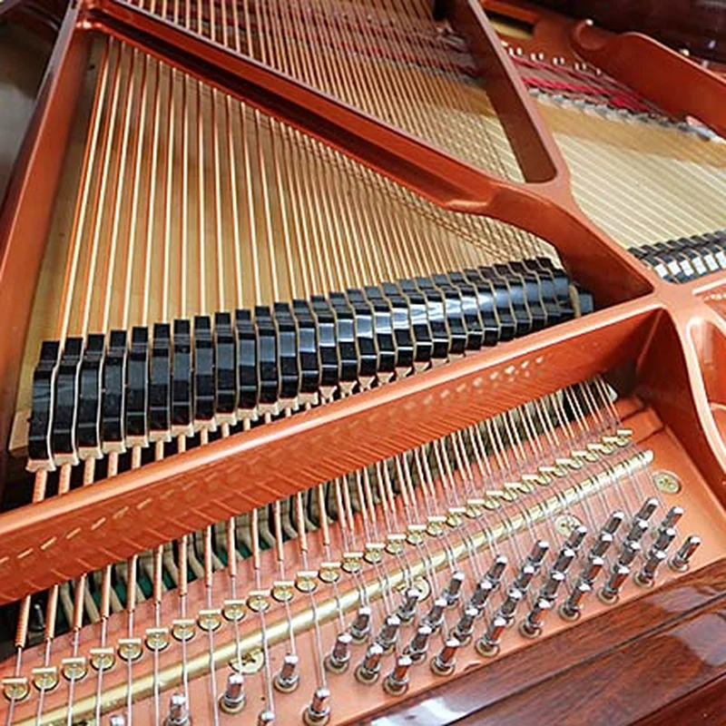 Wendl & Lung Mod.151 Mahogany - Silent