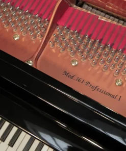 Wendl & Lung Mod.161 Professional I Mahogany