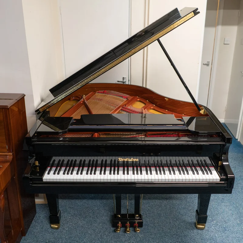 Wendl & Lung Mod.161 Professional I Mahogany