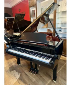 Wendl & Lung Mod.178 Professional II Mahogany