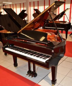 Wendl & Lung Mod.178 Professional II Mahogany