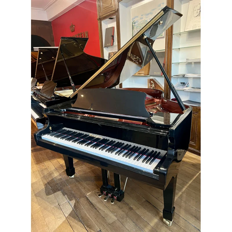 Wendl & Lung Mod.178 Professional II Mahogany