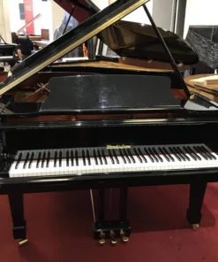 Wendl & Lung Mod.178 Professional II