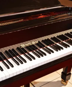 Wendl & Lung Mod.178 Professional II
