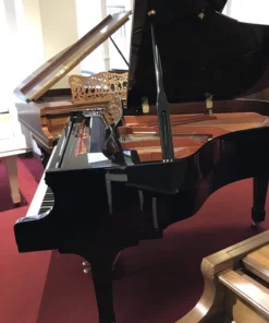 Wendl & Lung Mod.178 Professional II