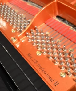 Wendl & Lung Mod.178 Professional II