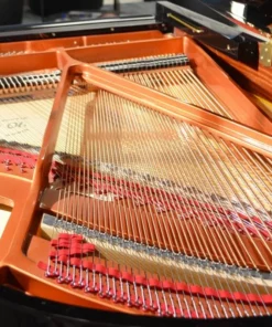 Wendl & Lung Mod.178 Professional II