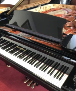 Wendl & Lung Mod.218 Concert I