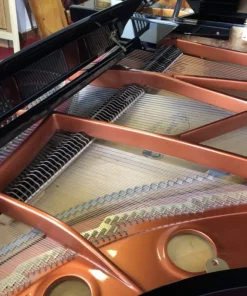Wendl & Lung Mod.218 Concert I