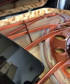 Wendl & Lung Mod.218 Concert I