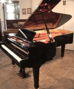 Wendl & Lung Mod.218 Concert I