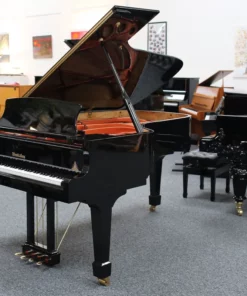 Wendl & Lung Mod.218 Concert I
