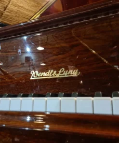 Wendl & Lung Mod.180