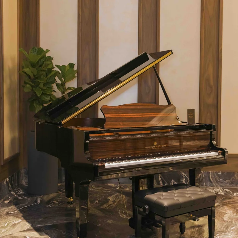 Review Wilhelm Grotrian WGS165 – Hình ảnh thực tế tại showroom Nah Music