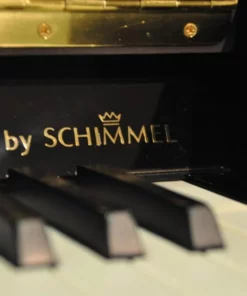 Wilhelm Schimmel W118 Tradition (Mahogany High Gloss)