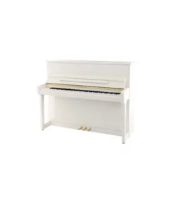 Wilhelm Schimmel W118 Tradition (Mahogany High Gloss)
