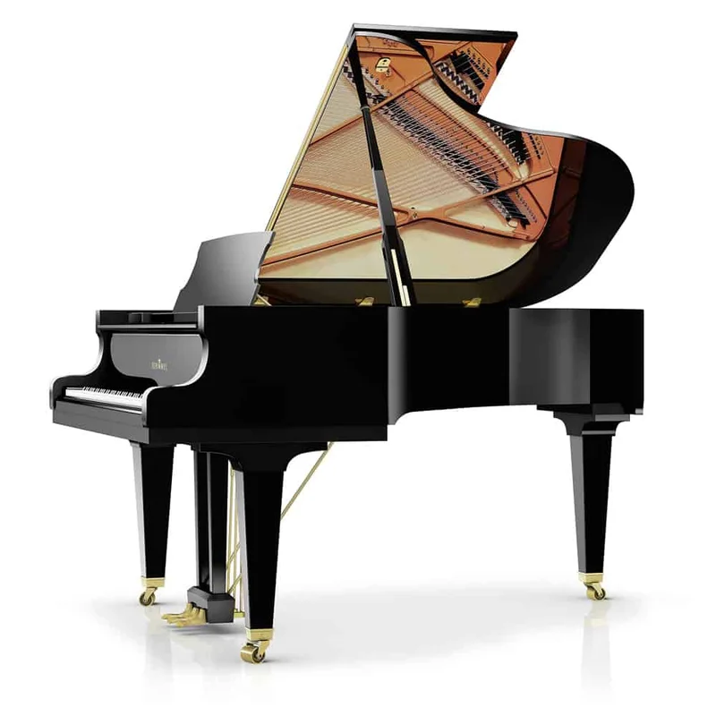 Wilhelm Schimmel W180 Tradition (Macassar Ebony)
