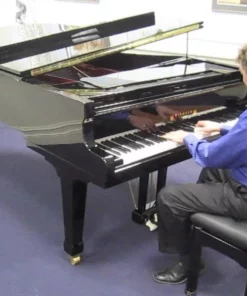 Wilhelm Schimmel W206 Tradition