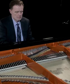 Wilhelm Schimmel W206 Tradition
