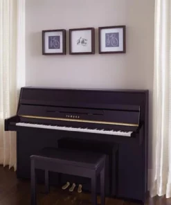 Yamaha B1