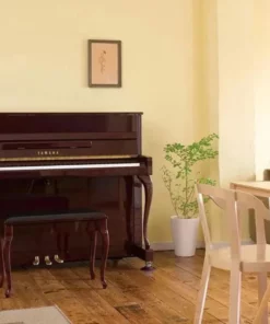 Yamaha B113