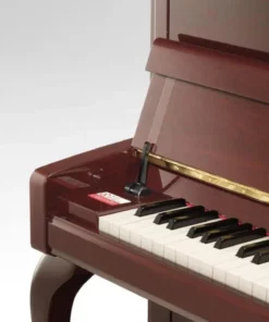 Yamaha B113