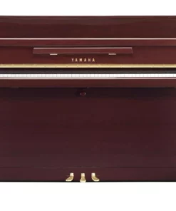 Yamaha B113