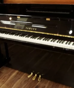 Yamaha B113