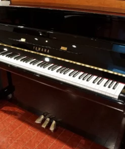 Yamaha B113
