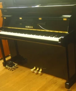 Yamaha B113