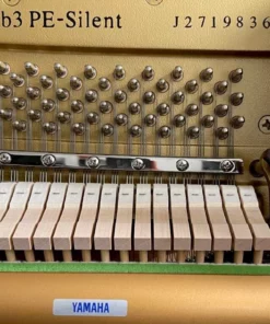 Yamaha B3