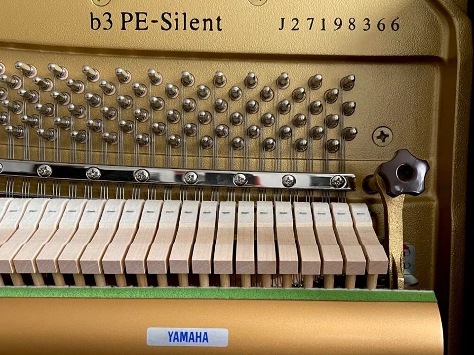 Yamaha B3