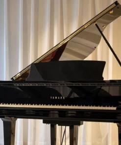 YAMAHA C1 PE