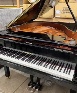 YAMAHA C1 PE