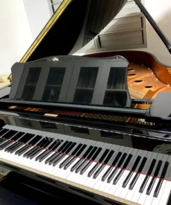 YAMAHA C1 PE