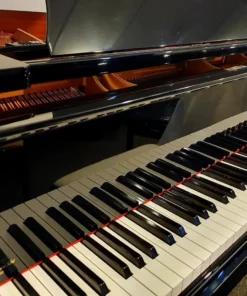 YAMAHA C1 PE