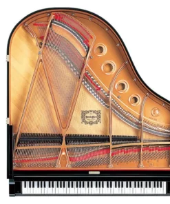YAMAHA C1 PE