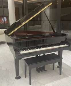 YAMAHA C1X (USED)