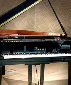 YAMAHA C1X