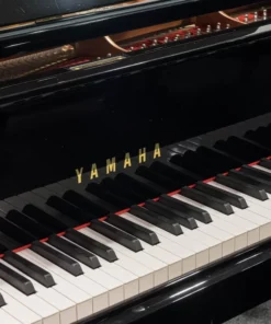 YAMAHA C1X