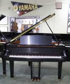 YAMAHA C1X