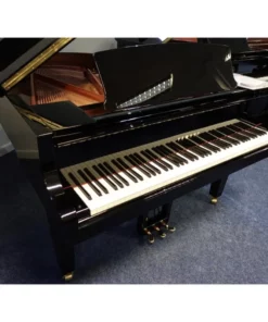 YAMAHA C1X