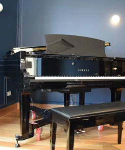 YAMAHA C2