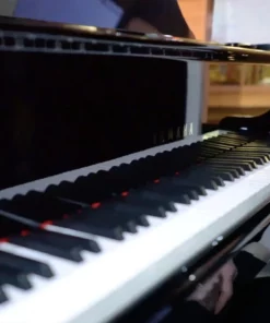 YAMAHA C2